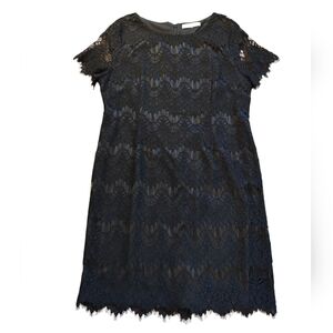 Preston & York Black Lace Shift Dress